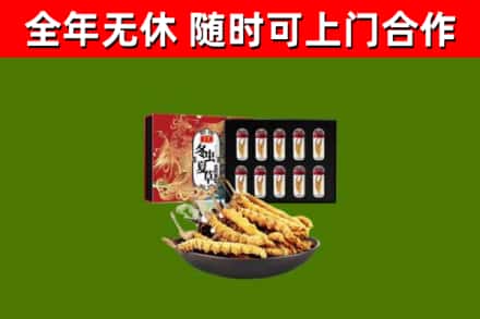 密山市烟酒回收冬虫夏草礼盒.jpg