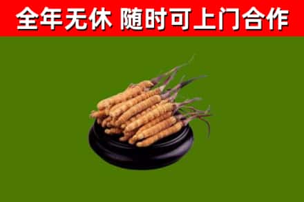 密山市烟酒回收冬虫夏草.jpg