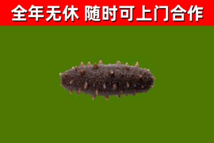 密山市烟酒回收干海参.jpg