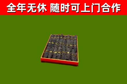 密山市回收海参